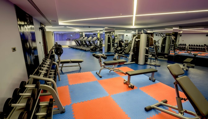 Radisson Blu Hotel, Diyarbakir - Gym Machines
