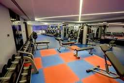 Radisson Blu Hotel, Diyarbakir - Gym Machines