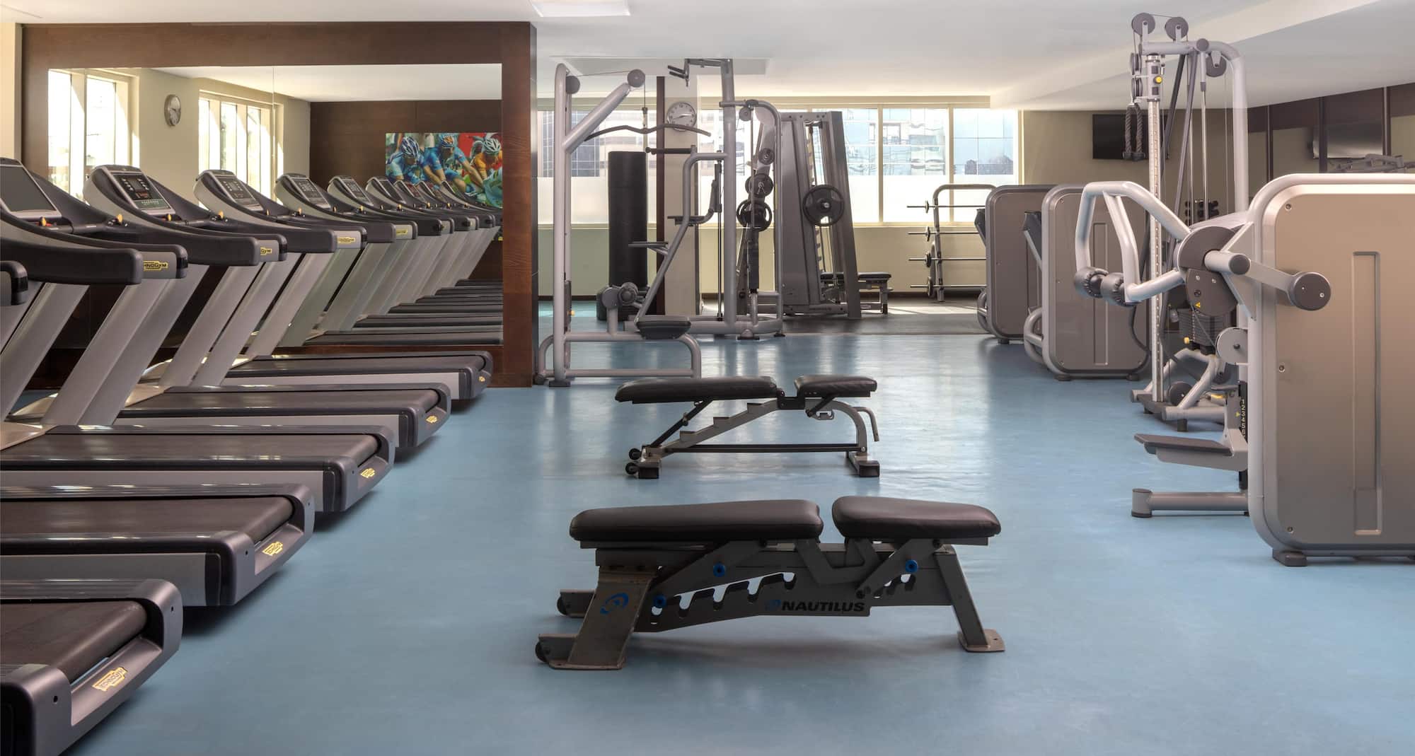 Radisson Blu Hotel, Dubai Barsha Heights - Gym