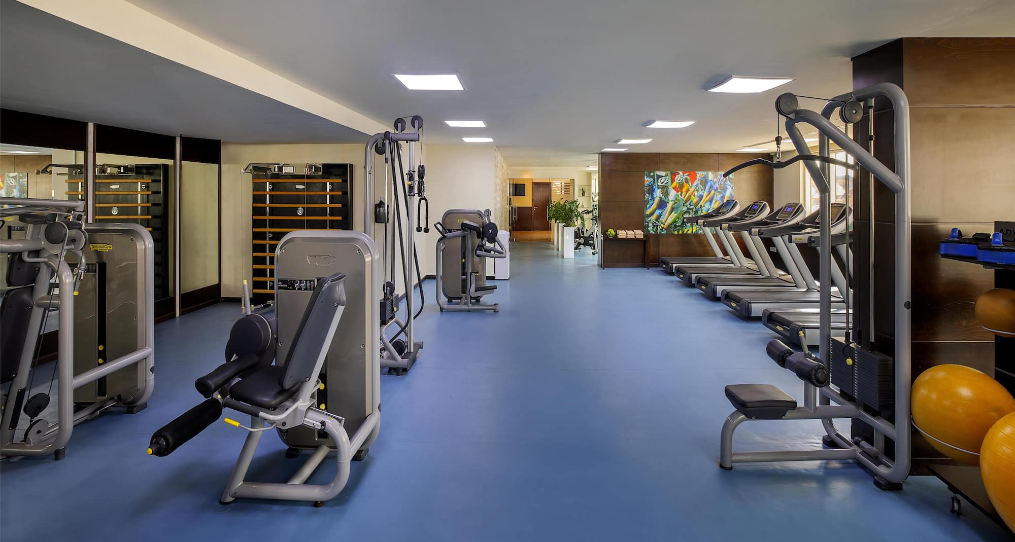 Radisson Blu Hotel, Dubai Barsha Heights - Gym