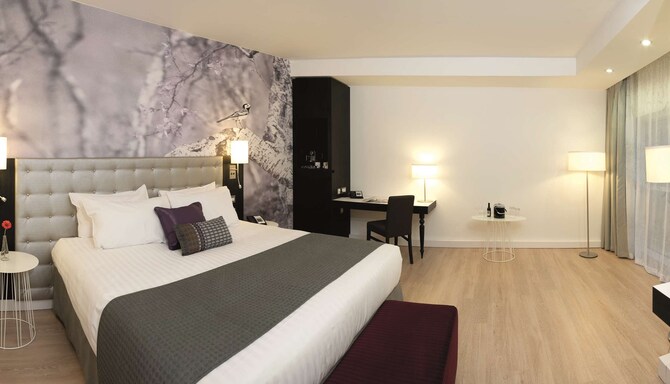 Radisson Blu Hotel, East Midlands Airport - Business class room
