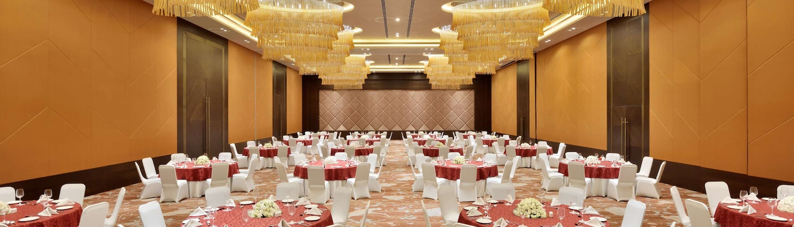 Radisson Blu Hotel, Faridabad - Grandball Room Wedding Set Up