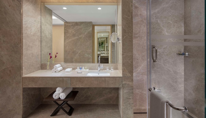 Radisson Blu Hotel, Faridabad - Bath without tub