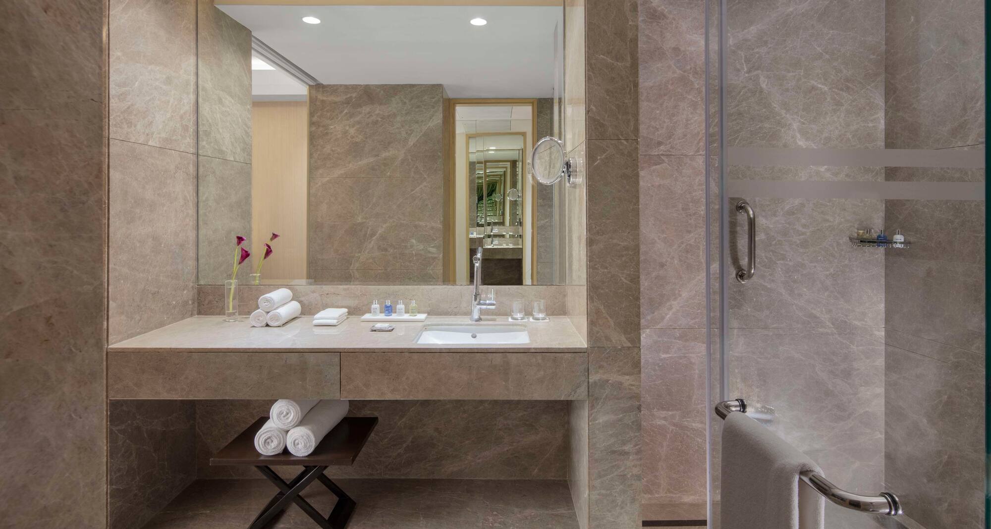 Radisson Blu Hotel, Faridabad - Bath without tub