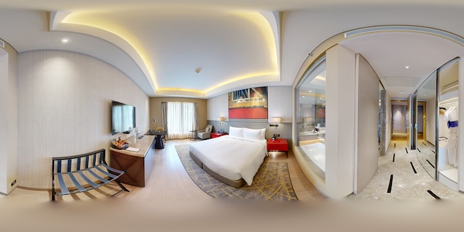 Radisson Blu Hotel, Faridabad - Business Class Room