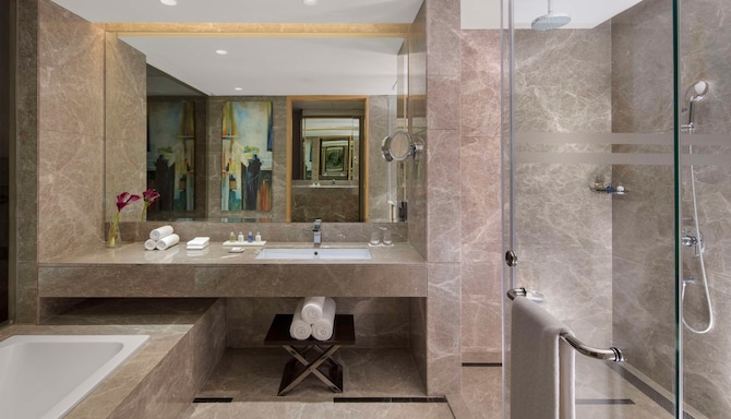 Radisson Blu Hotel, Faridabad - Bath with tub