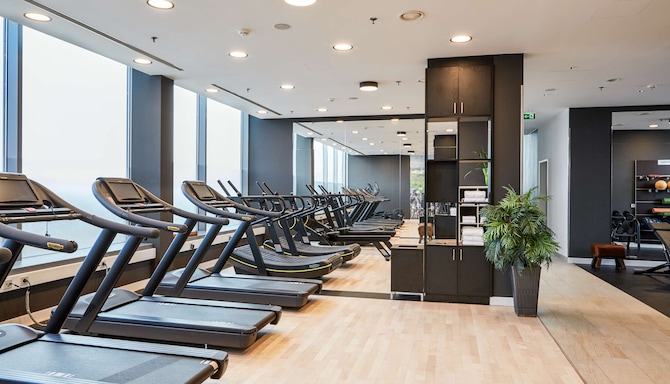 Radisson Blu Hotel, Frankfurt - Gym