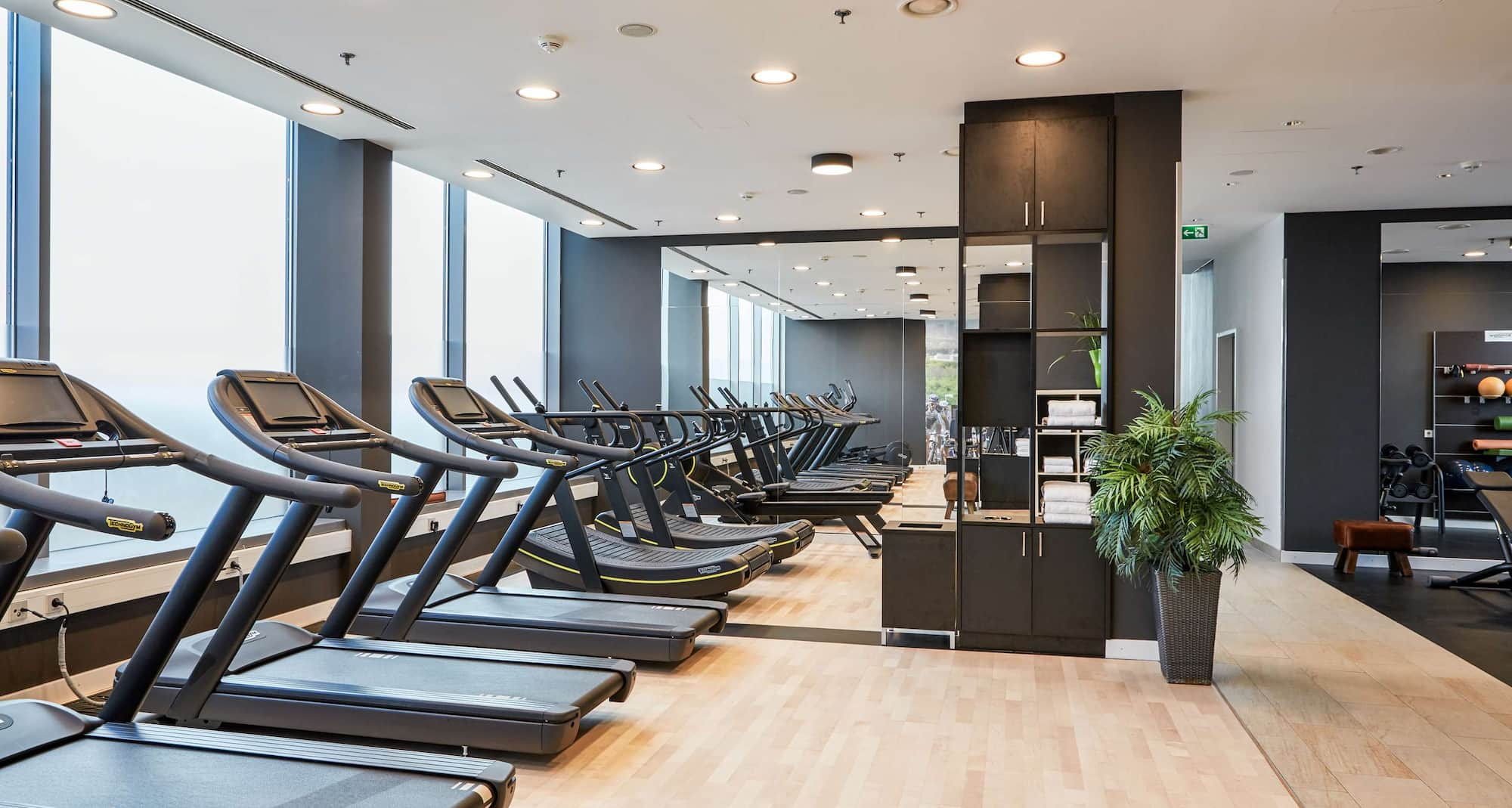 Radisson Blu Hotel, Frankfurt - Gym