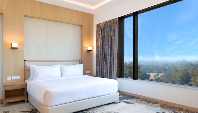 Radisson Blu Gorakhpur - Suite