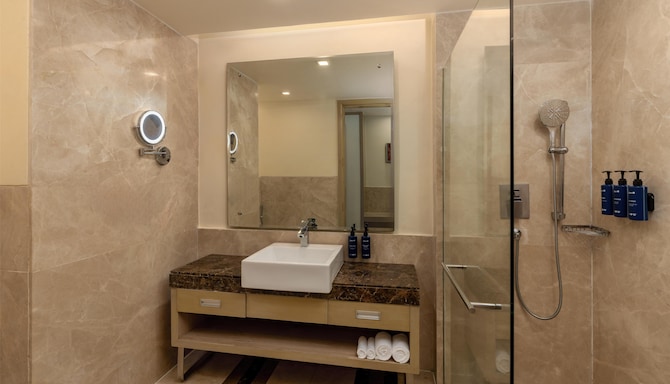 Radisson Blu Hotel, Greater Noida - Standard Twin Bathroom