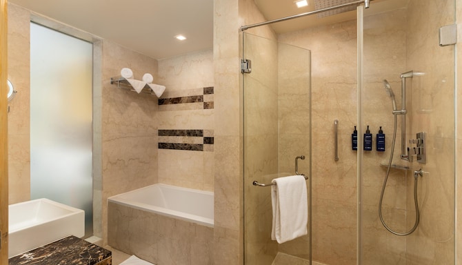 Radisson Blu Hotel, Greater Noida - Business King Bathroom