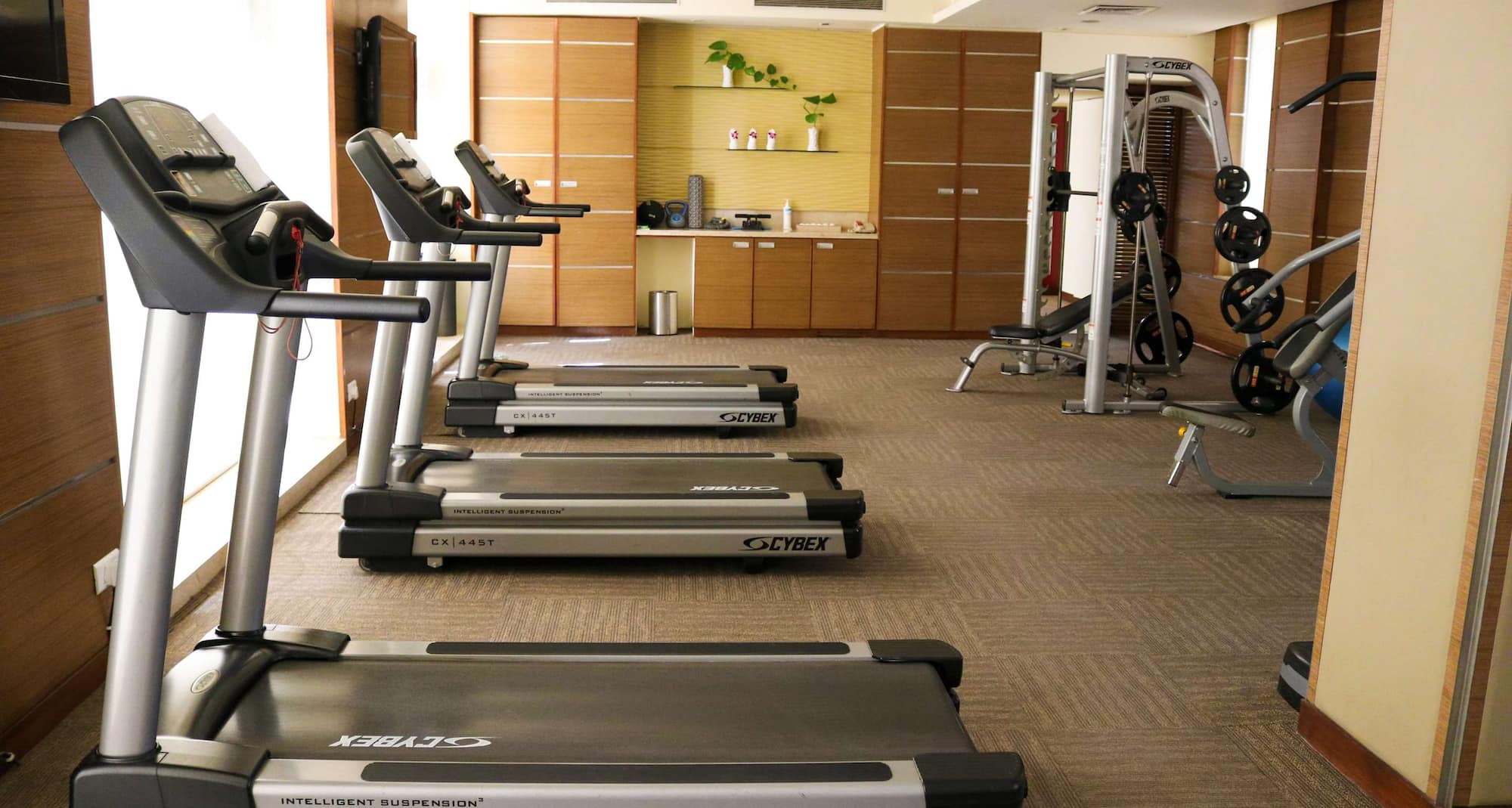 Radisson Blu Hotel Greater Noida - Gym