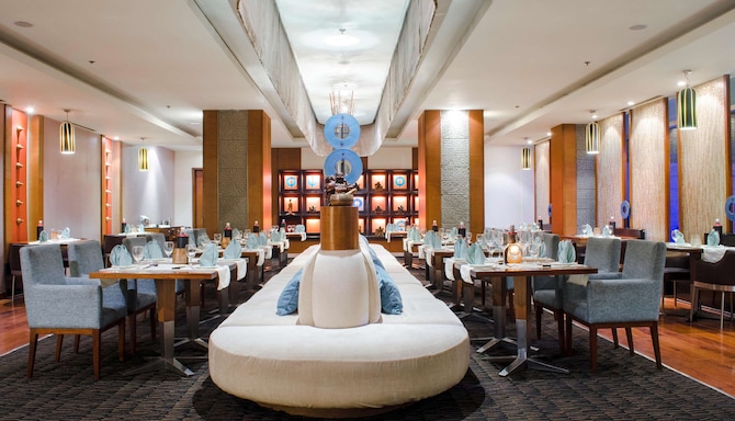 Radisson Blu Hotel Greater Noida - Satin