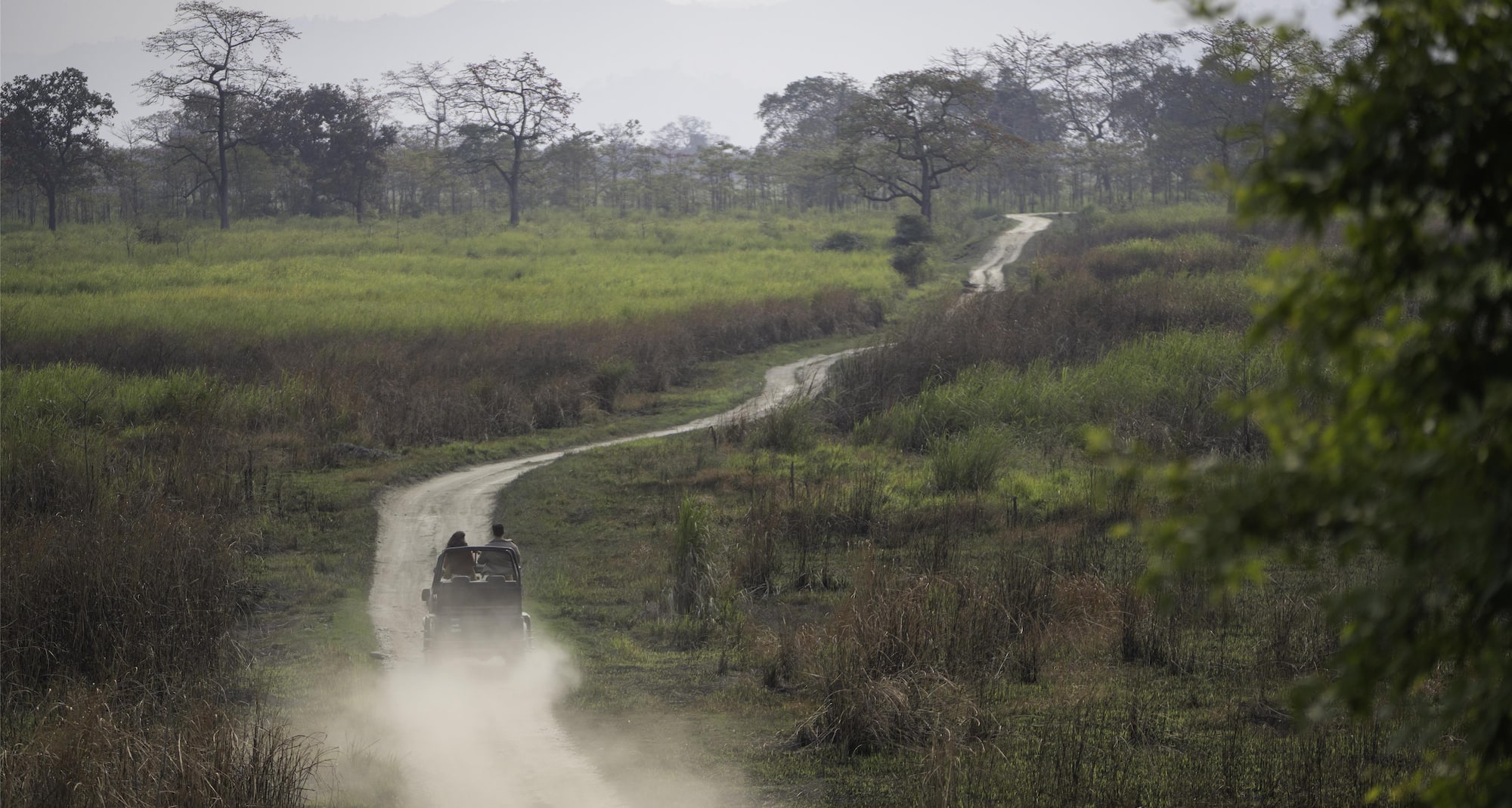 Radisson Blu Hotel, Guwahati - Safari