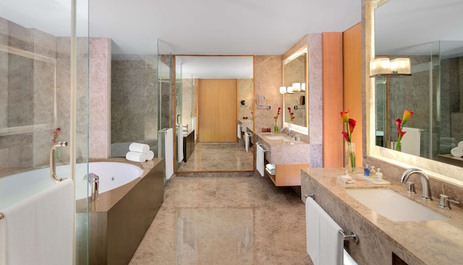 Radisson Blu Hotel, Guwahati - Presidential Suite Bathroom
