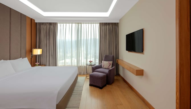 Radisson Blu Hotel, Guwahati - Suite