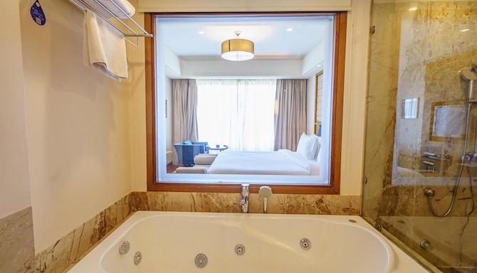 Radisson Blu Hotel, Indore - Business Class