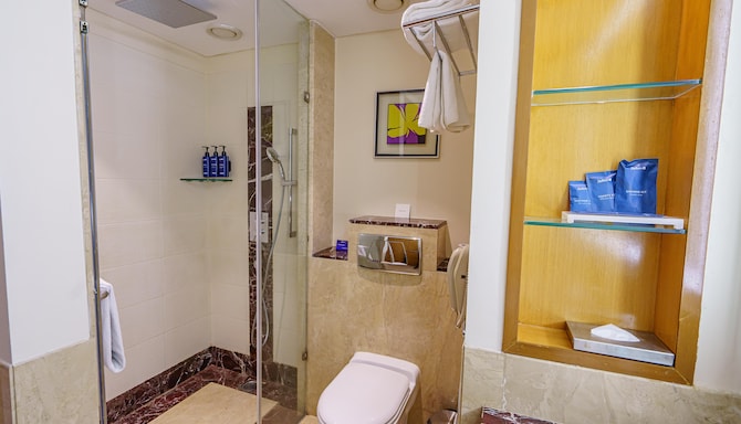 Radisson Blu Hotel, Indore - Superior Room