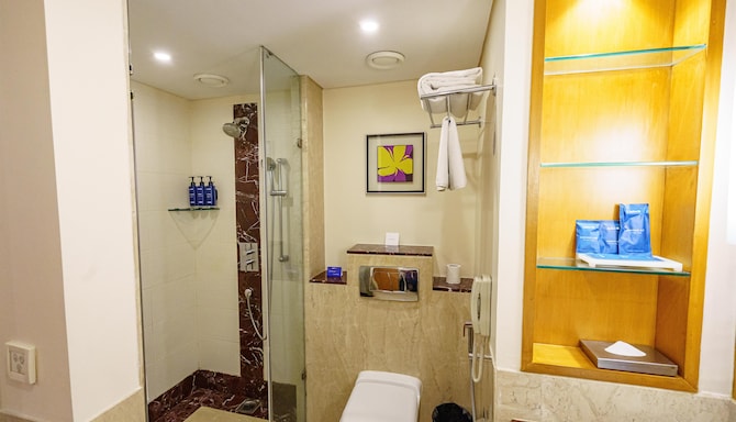 Radisson Blu Hotel, Indore - Deluxe Room