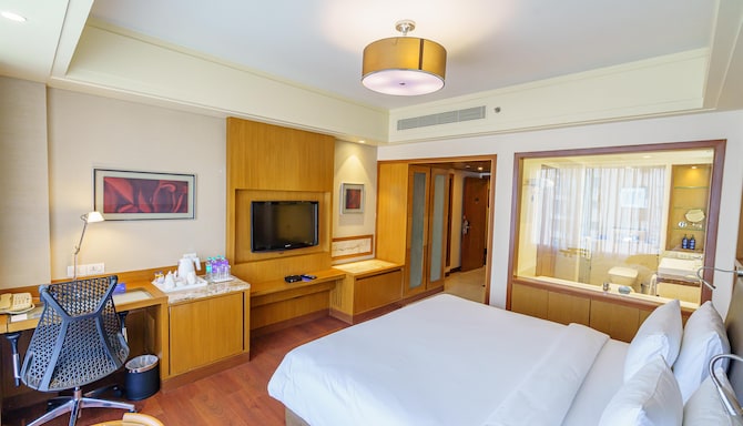 Radisson Blu Hotel, Indore - Business Class