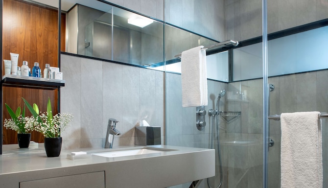 Radisson Blu Hotel, Istanbul Asia - Bathroom detail