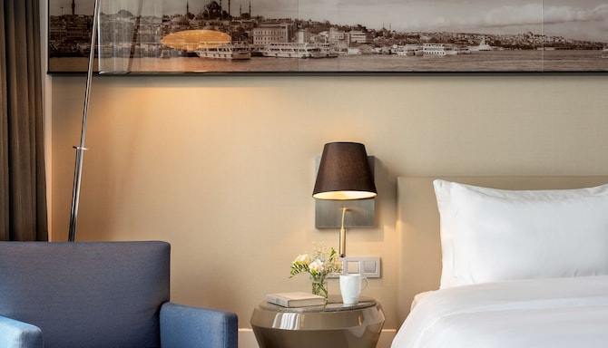 Radisson Blu Hotel, Istanbul Asia - Guest room