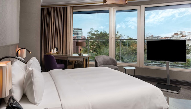 Radisson Blu Hotel, Istanbul Ottomare - Standard Room