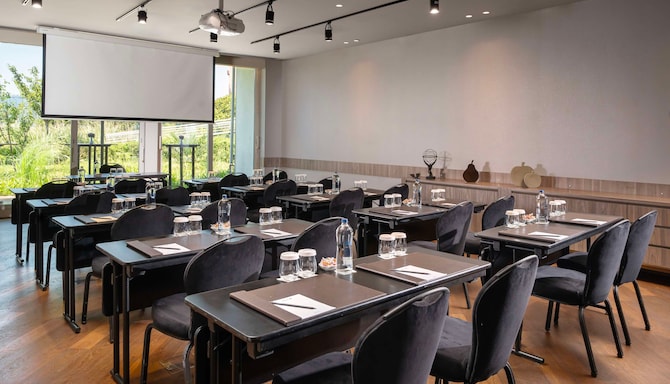 Radisson Blu Hotel, Istanbul Ottomare - Golden Horn Meeting Room