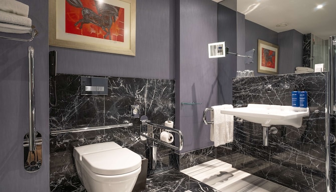 Radisson Blu Hotel, Istanbul Pera - Accessible Bathroom