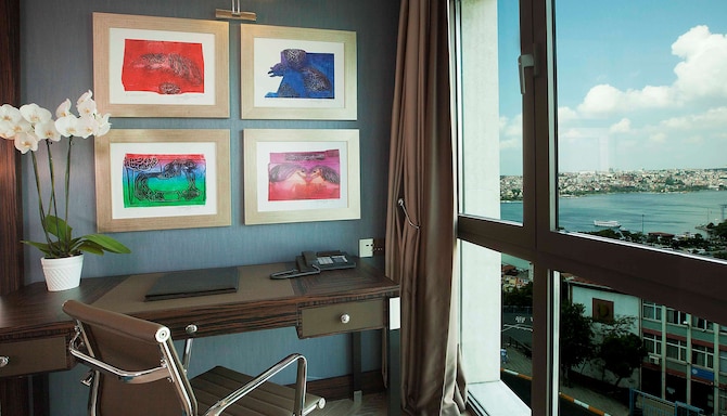 Radisson Blu Hotel, Istanbul Pera - Executive Room Golden Horn View