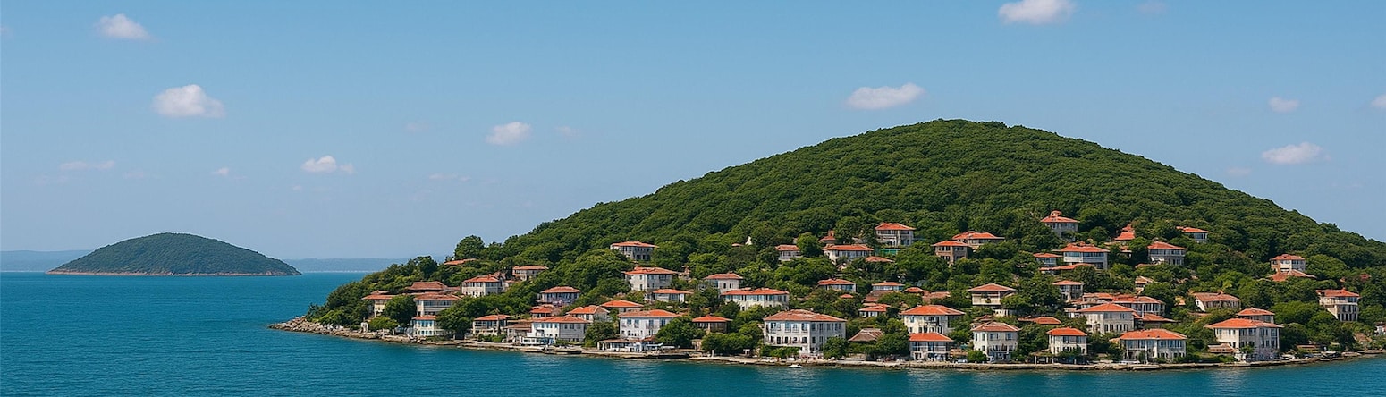 Radisson Blu Hotel, Istanbul Sisli - Activities