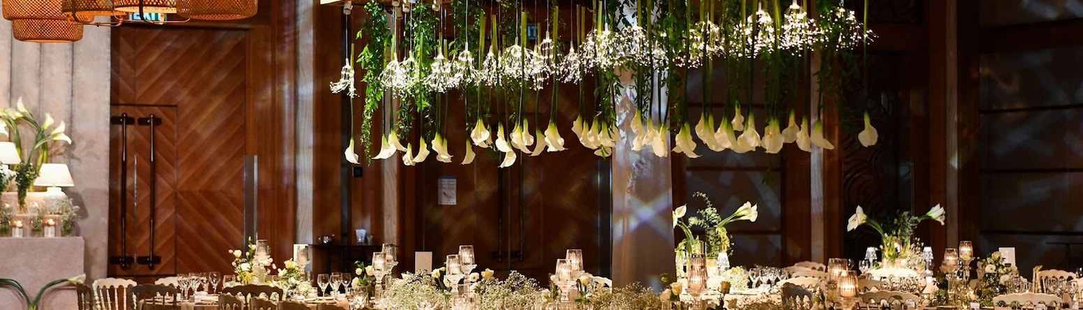 Radisson Blu Hotel, Istanbul Sisli - BALO SALONU EVENT