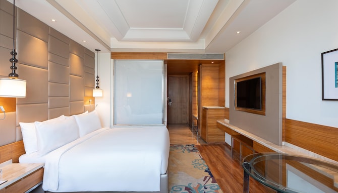 Radisson Blu Hotel, Jammu - Business Class Room