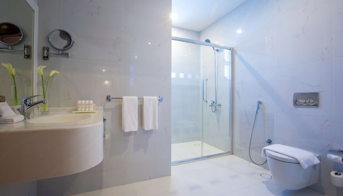 Radisson Blu Plaza Hotel, Jeddah - Bathroom