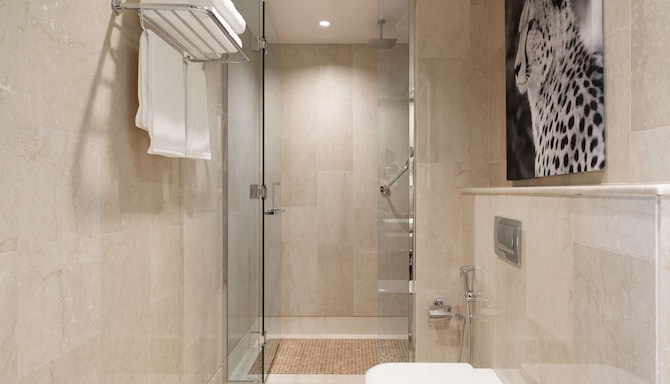 Radisson Blu Hotel, Juba - Premium Room bathroom