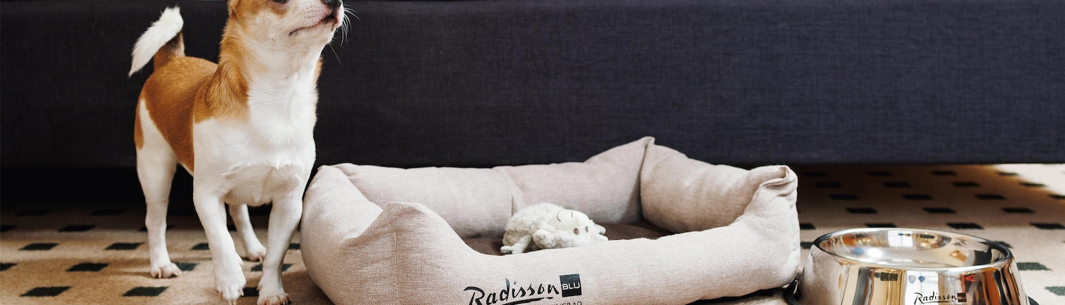 Radisson Blu Hotel, Kaliningrad - Rad pets
