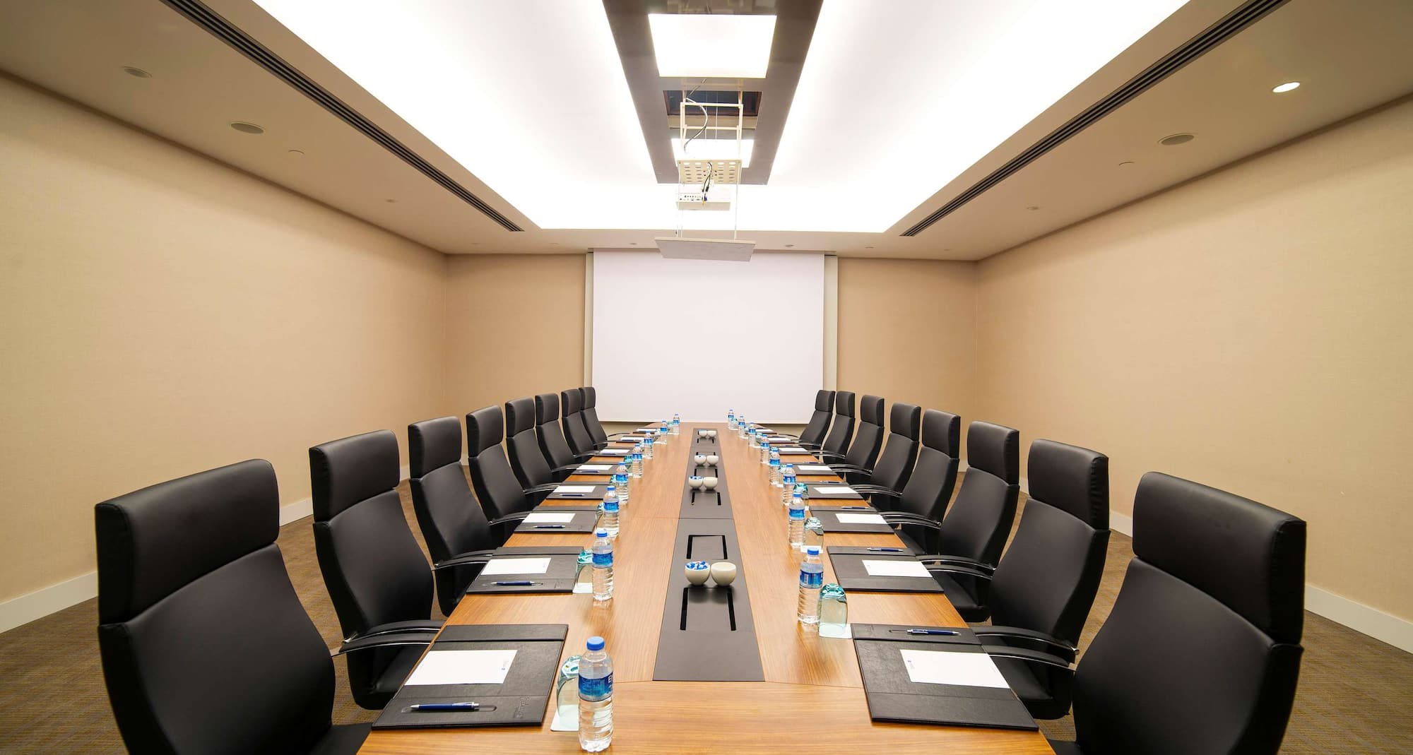 Radisson Blu Hotel, Kayseri - Toplantı Odası