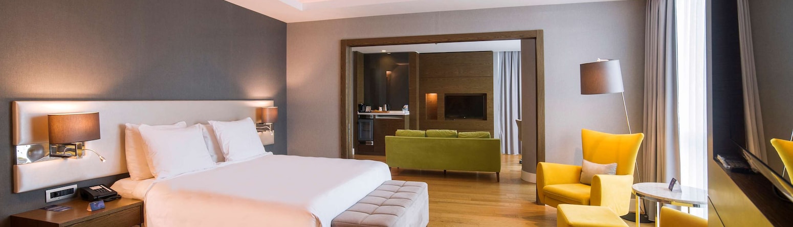 Radisson Blu Hotel, Kayseri - One Bedroom Suite