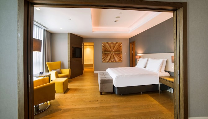 Radisson Blu Hotel, Kayseri - One Bedroom Suite