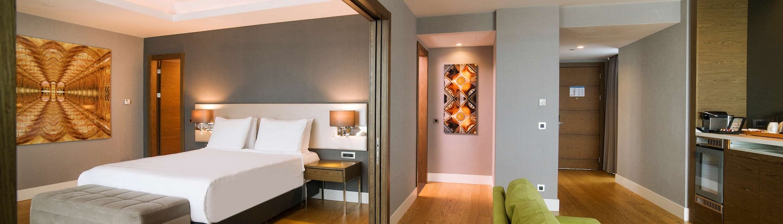 Radisson Blu Hotel, Kayseri - One Bedroom Suite