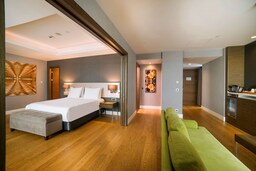 Radisson Blu Hotel, Kayseri - One Bedroom Suite