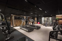 Radisson Blu Hotel, Kyiv City Centre - Gym