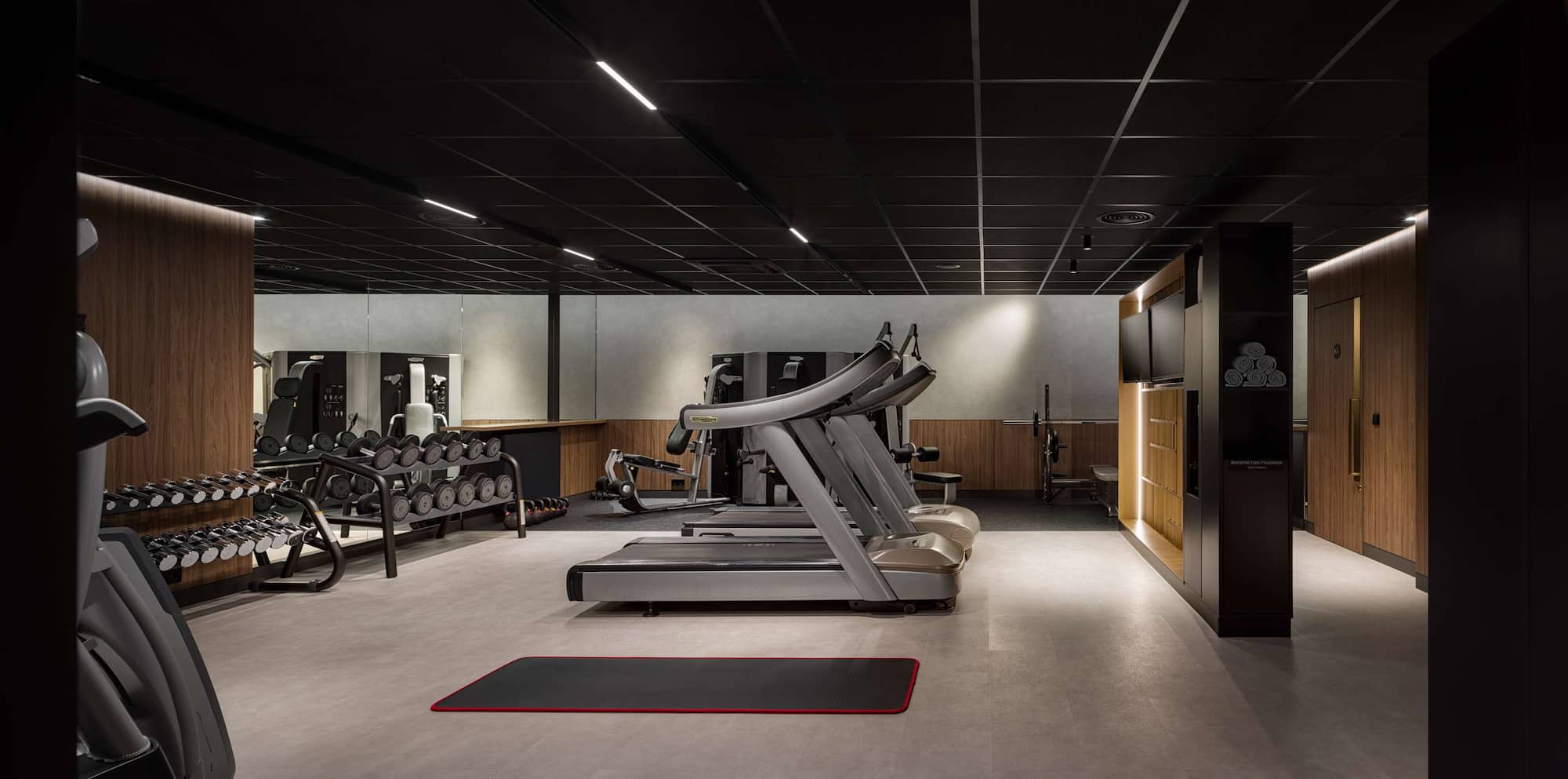 Radisson Blu Hotel, Kyiv City Centre - Gym