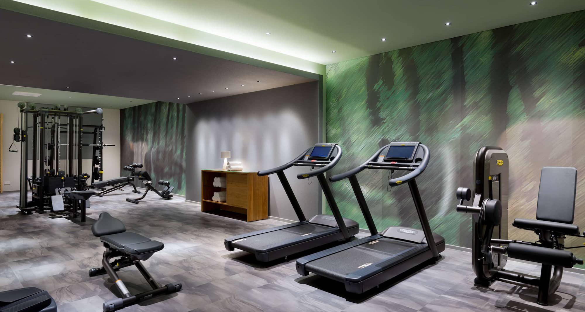 Radisson Blu Hotel Lietuva, Vilnius - Fitness center