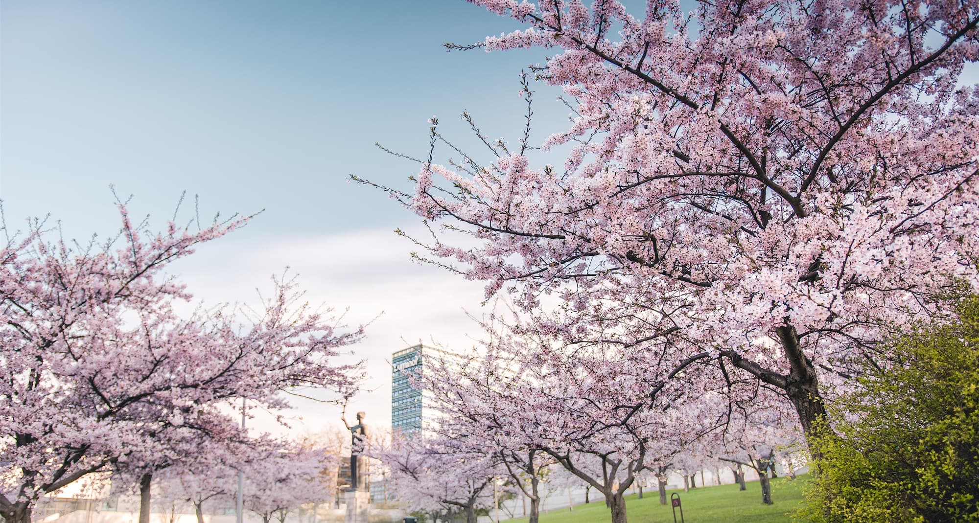 Radisson Blu Hotel Lietuva, Vilnius - Vilnius