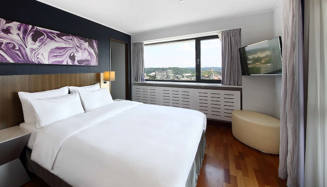 Radisson Blu Hotel Lietuva, Vilnius - Люкс