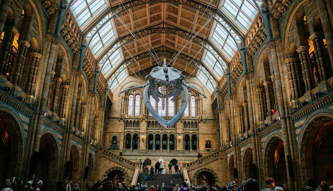 Radisson Blu Hotel, London Mercer Street - Natural History Museum London