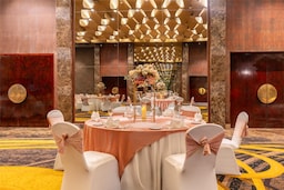 Radisson Blu Hotel, Ludhiana - Amber