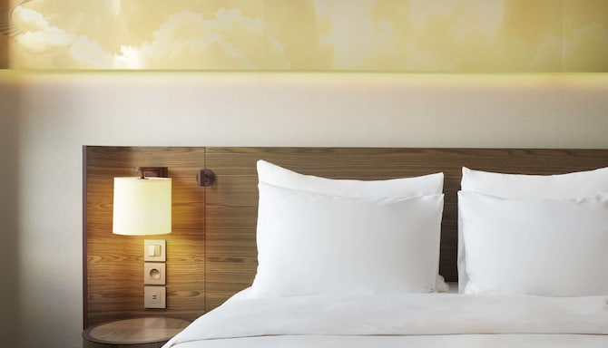 Radisson Blu Hotel, Lyon - Guest room detail