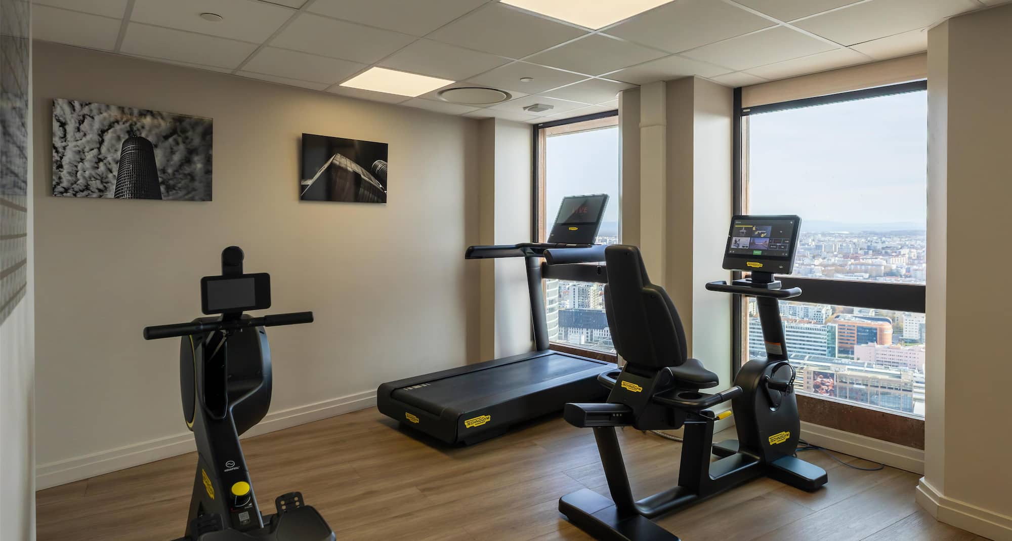 Radisson Blu Hotel, Lyon - Fitness room
